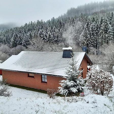 Ferienhaus Becker Willingen  Εξωτερικό φωτογραφία
