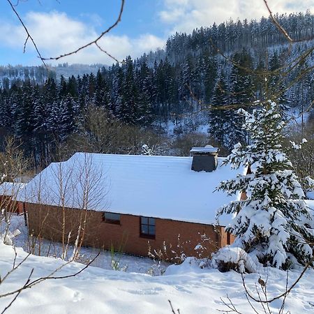 Ferienhaus Becker Willingen  Εξωτερικό φωτογραφία